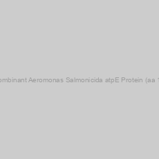 Image of Recombinant Aeromonas Salmonicida atpE Protein (aa 1-80)